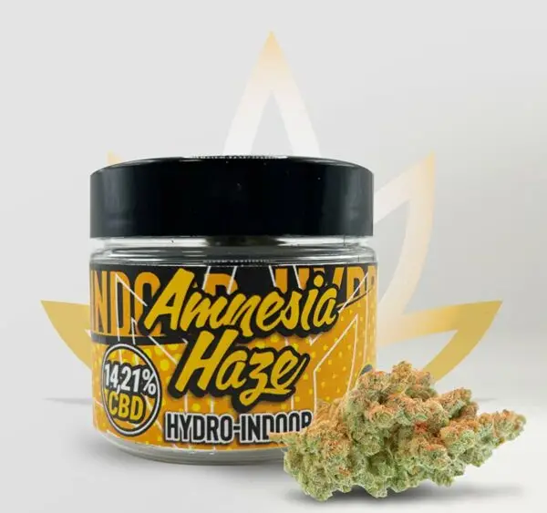 amnesia cbd