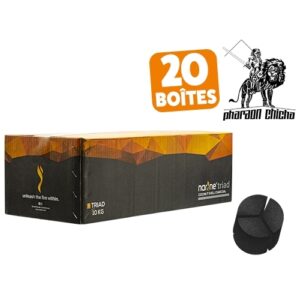CARTON 20 BTES 1 KG CHARBON NARINE