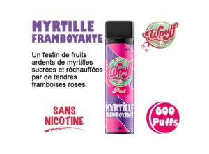 BOITE DE 1 PODS MYRTILLE FRAMBOYANTE 00 MG