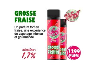 BOITE DE 2 PODS GROSSE FRAISE 17 MG