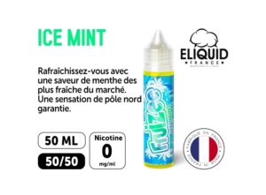 FRUIZEE ICE MINT 50 ML