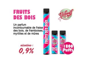 KIT BATTERIE 3 PODS FRUITS DES BOIS 09 MG