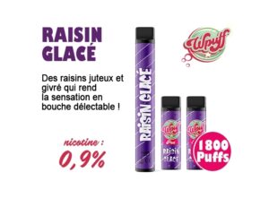 KIT BATTERIE  3 PODS RAISIN GLACÉE 09 MG