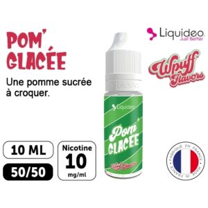 LIQUIDEO WPUFF POMME GLACEE 10 MG ML  10 ML