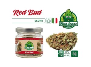 POT CBD  BUDSENSE  »RED BUD » 5g