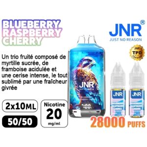 JNR FALCON X BLUEBERRY RASPBERRY CHERRY 20 MG