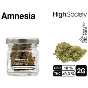 HIGH SOCIETY  AMNESIA  2G