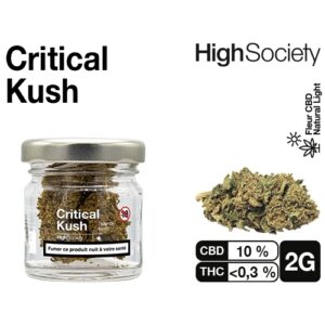 HIGH SOCIETY  CRITICAL KUSH 2G