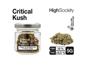 HIGH SOCIETY  CRITICAL KUSH 5G