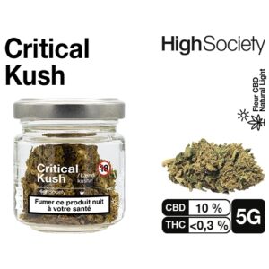 HIGH SOCIETY  CRITICAL KUSH 5G