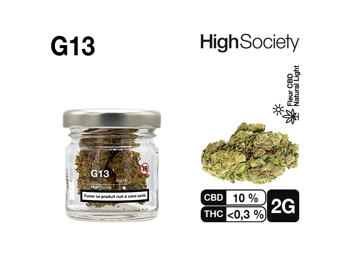 HIGH SOCIETY G13 2G