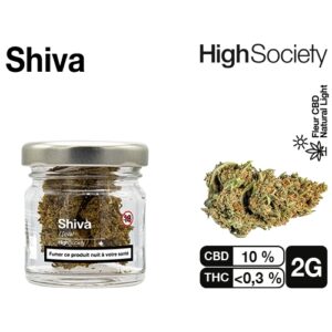HIGH SOCIETY  SHIVA NL 2G