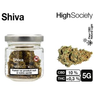 HIGH SOCIETY  SHIVA NL 5G