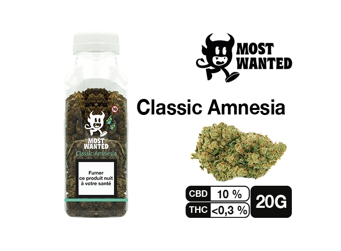 MOST WANTED AMNESIA 20G