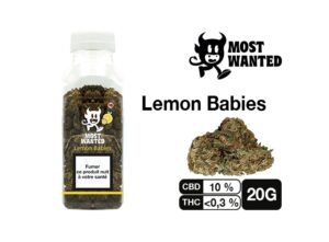 MOST WANTED  LEMON BABIES 20G