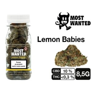 MOST WANTED  LEMON BABIES  8.5G