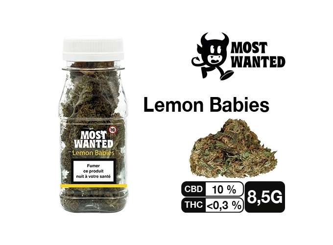 MOST WANTED LEMON BABIES 8.5G