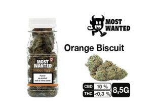 MOST WANTED  ORANGE BISCUIT  8.5G