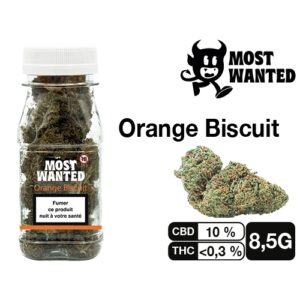 MOST WANTED  ORANGE BISCUIT  8.5G