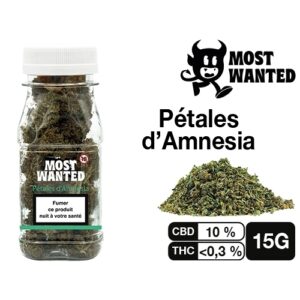 MOST WANTED PETALE D’AMNESIA 15G