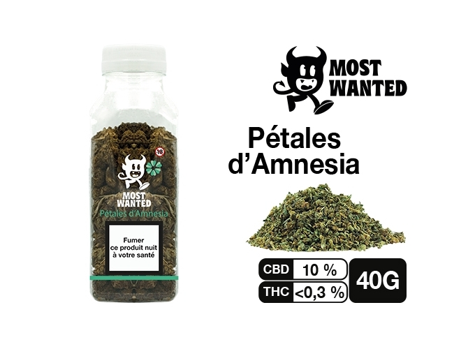 MOST WANTED PETALE D'AMNESIA 40G